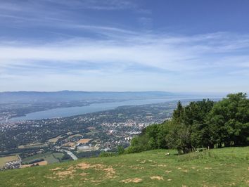 Canicule : pic d’intensité en fin de semaine, jusqu’à 45°C à l’ombre ! Canicule : pic d’intensité en fin de semaine, jusqu’à 45°C à l’ombre !