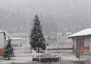 Chihuahua se pinta de blanco por chubascos de nieve Chihuahua se pinta de blanco por chubascos de nieve