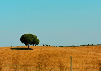 Clima em Portugal em 2019 Clima em Portugal em 2019