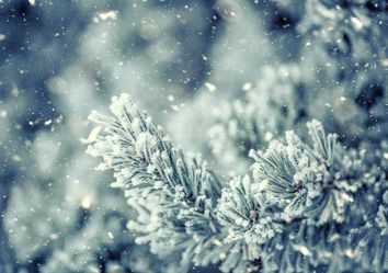 Dia Mundial da Neve comemora-se hoje Dia Mundial da Neve comemora-se hoje
