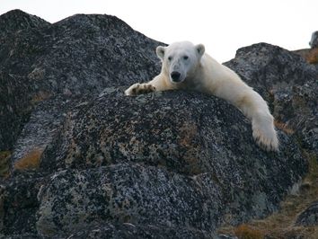 ¿Cómo sabemos que el clima está cambiando? ¿Cómo sabemos que el clima está cambiando?