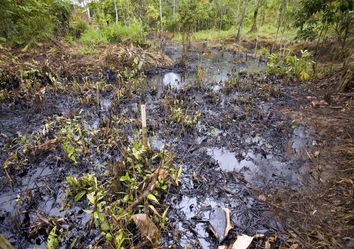 Compañías petroleras dañan el Amazonas durante la pandemia Compañías petroleras dañan el Amazonas durante la pandemia