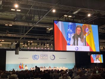 COP25, emergono i primi contrasti COP25, emergono i primi contrasti