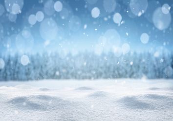 Cuando la nieve genera el silencio Cuando la nieve genera el silencio