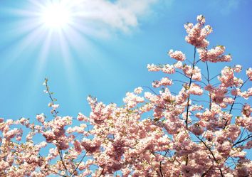 Das Wetter an Pfingsten: Sonnig und trocken oder Regen? Das Wetter an Pfingsten: Sonnig und trocken oder Regen?