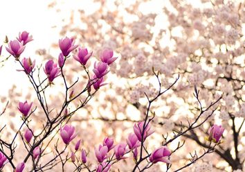 Das Wochenwetter: Vielfach trocken und meist vorfrühlingshaft warm! Das Wochenwetter: Vielfach trocken und meist vorfrühlingshaft warm!
