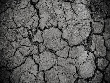 Die Trockenheit nimmt weiter zu Die Trockenheit nimmt weiter zu