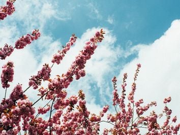 Die Wettervorhersage für die erste Frühlingswoche! Die Wettervorhersage für die erste Frühlingswoche!