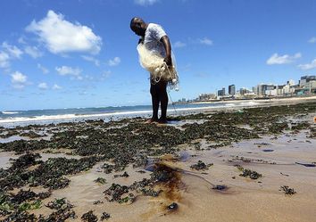 É seguro comer pescado do Nordeste? É seguro comer pescado do Nordeste?