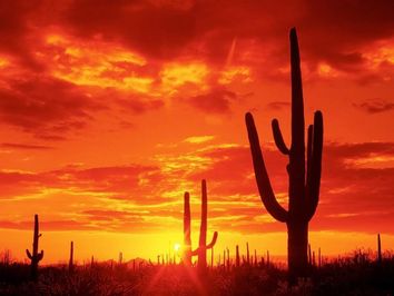 El cambio climático y la tierra El cambio climático y la tierra