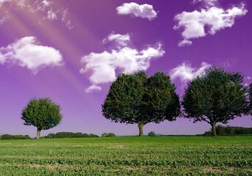 El cielo debería ser violeta