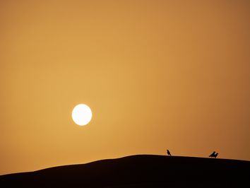 El polvo del Sáhara: un viaje sin fronteras El polvo del Sáhara: un viaje sin fronteras