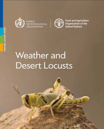 El tiempo y la langosta del desierto El tiempo y la langosta del desierto