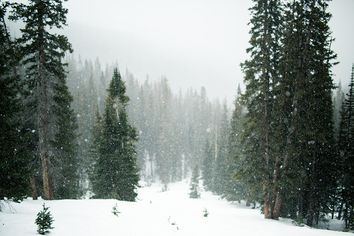 ¿Estamos a tiempo de que caiga una buena nevada? ¿Estamos a tiempo de que caiga una buena nevada?