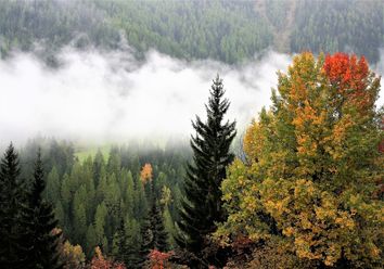 Erst bis 34 Grad heiß, dann Temperatursturz - ist der Sommer vorbei? Erst bis 34 Grad heiß, dann Temperatursturz - ist der Sommer vorbei?