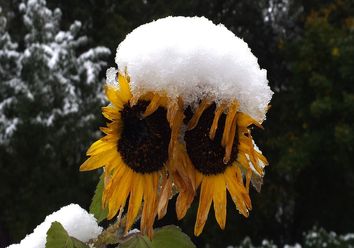 Erster Frost: Droht nun sogar der erste Wintereinbruch? Erster Frost: Droht nun sogar der erste Wintereinbruch?