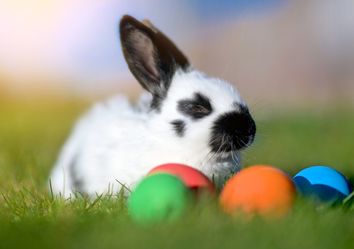 Frühlingswetter bis Ostern! Frühlingswetter bis Ostern!