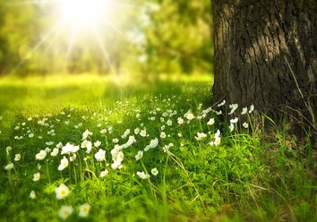 ¿Ha llegado ya la primavera? ¿Ha llegado ya la primavera?