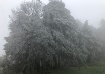 Importantes descensos de temperatura para esta semana Importantes descensos de temperatura para esta semana