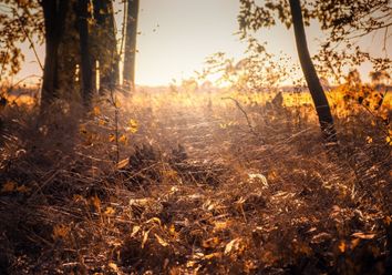 Jetzt startet der Altbweibersommer durch - bis 25 Grad warm! Jetzt startet der Altbweibersommer durch - bis 25 Grad warm!