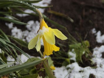 Kälteschock am Montag: Polarluft bringt Schneeflocken! Kälteschock am Montag: Polarluft bringt Schneeflocken!