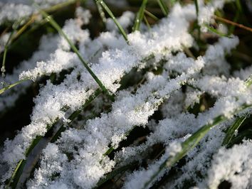 Kommt schon bald der erste Schnee? Kommt schon bald der erste Schnee?