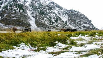 Krasser Temperatursturz bringt Alpenschnee! Krasser Temperatursturz bringt Alpenschnee!