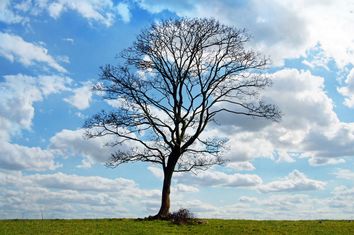 L'été est-il définitivement terminé ? L'été est-il définitivement terminé ?