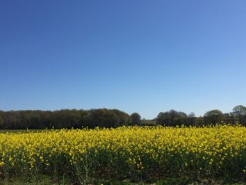 L’été s’installe en fin de semaine, jusqu’à 28°C attendus ! L’été s’installe en fin de semaine, jusqu’à 28°C attendus !