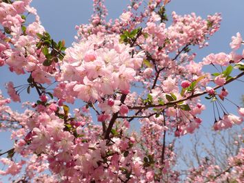 La primavera no siempre empieza el 21 de septiembre La primavera no siempre empieza el 21 de septiembre