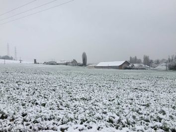 Le froid revient et s'accentuera la semaine prochaine Le froid revient et s'accentuera la semaine prochaine