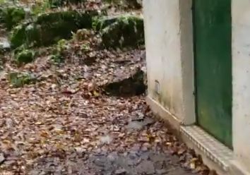 Gli effetti della piena del Timavo, il fiume sotterraneo del Carso Gli effetti della piena del Timavo, il fiume sotterraneo del Carso