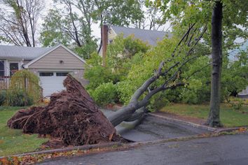 Météo : doit-on redouter de nouvelles tempêtes cette semaine ? Météo : doit-on redouter de nouvelles tempêtes cette semaine ?