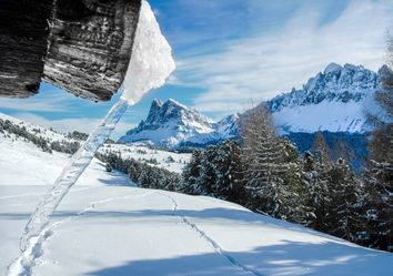 Meteo, indebolimento del vortice polare per fine dicembre? Meteo, indebolimento del vortice polare per fine dicembre?