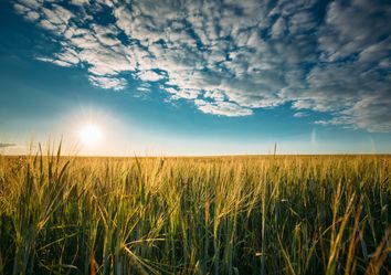Meteo: Previsioni per la prima metà di giugno: dove sarà estate ? Meteo: Previsioni per la prima metà di giugno: dove sarà estate ?