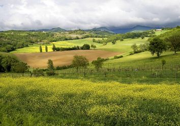 Meteo: sole e caldo fino a Pasqua, cambiamenti da Pasquetta? Meteo: sole e caldo fino a Pasqua, cambiamenti da Pasquetta?