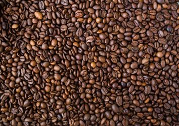 O café e as mudanças climáticas O café e as mudanças climáticas