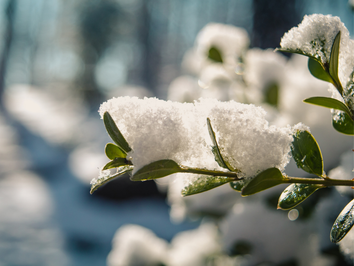 Onde ocorre neve no Brasil? Onde ocorre neve no Brasil?
