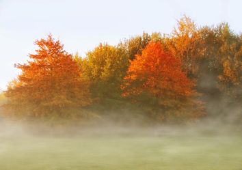Previsioni meteo, come sarà la seconda parte di ottobre? Previsioni meteo, come sarà la seconda parte di ottobre?