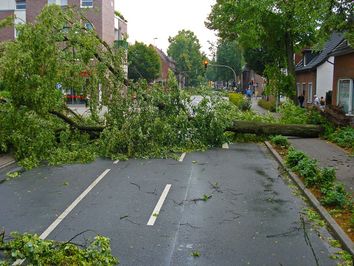 Réchauffement climatique : faut-il s’attendre à plus de tempêtes ? Réchauffement climatique : faut-il s’attendre à plus de tempêtes ?