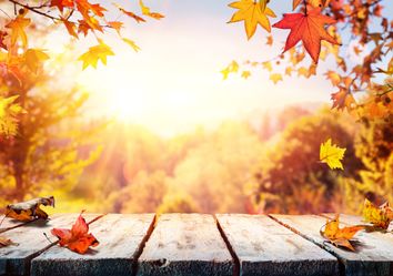 Récord histórico de calor para marzo, ¿cómo sigue el otoño? Récord histórico de calor para marzo, ¿cómo sigue el otoño?