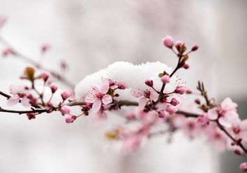 Schlägt der Winter im März zu? Schlägt der Winter im März zu?