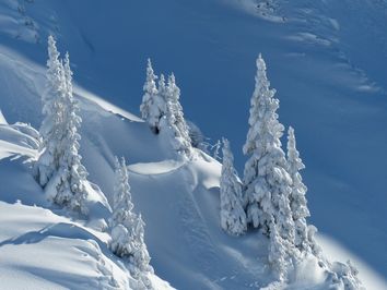 Schock-Prognose für den kommenden Winter! Schock-Prognose für den kommenden Winter!