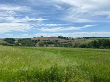 Semaine estivale : le beau temps va-t-il durer jusqu'au week-end ? Semaine estivale : le beau temps va-t-il durer jusqu'au week-end ?
