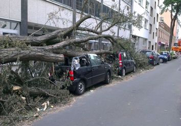 Sommer 2018 stürzt ab - Sturmgefahr am Wochenende! Sommer 2018 stürzt ab - Sturmgefahr am Wochenende!