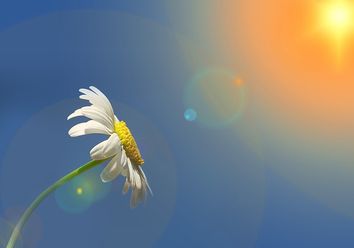 Sonniges Frühlingswochenende, nächste Woche über 20 Grad! Sonniges Frühlingswochenende, nächste Woche über 20 Grad!