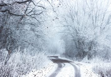 Temperaturen stürzen nach unten: Nächste Woche Schnee! Temperaturen stürzen nach unten: Nächste Woche Schnee!
