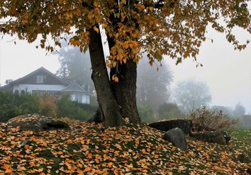 Temperatursturz um bis zu 20 Grad - bleibt das kühle Herbstwetter? Temperatursturz um bis zu 20 Grad - bleibt das kühle Herbstwetter?