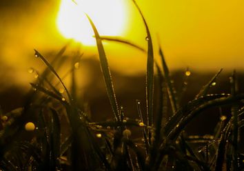 Tempo esta semana: calor continua com alguns aguaceiros e trovoada Tempo esta semana: calor continua com alguns aguaceiros e trovoada