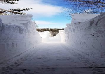 Tormenta invernal deja hasta 70 centímetros de nieve en Canadá Tormenta invernal deja hasta 70 centímetros de nieve en Canadá